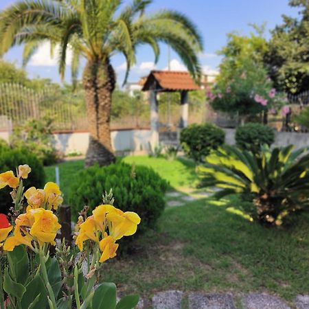 I Giardini Di Plinio - Elegante E Luminoso. Apartamento Boscoreale Exterior foto