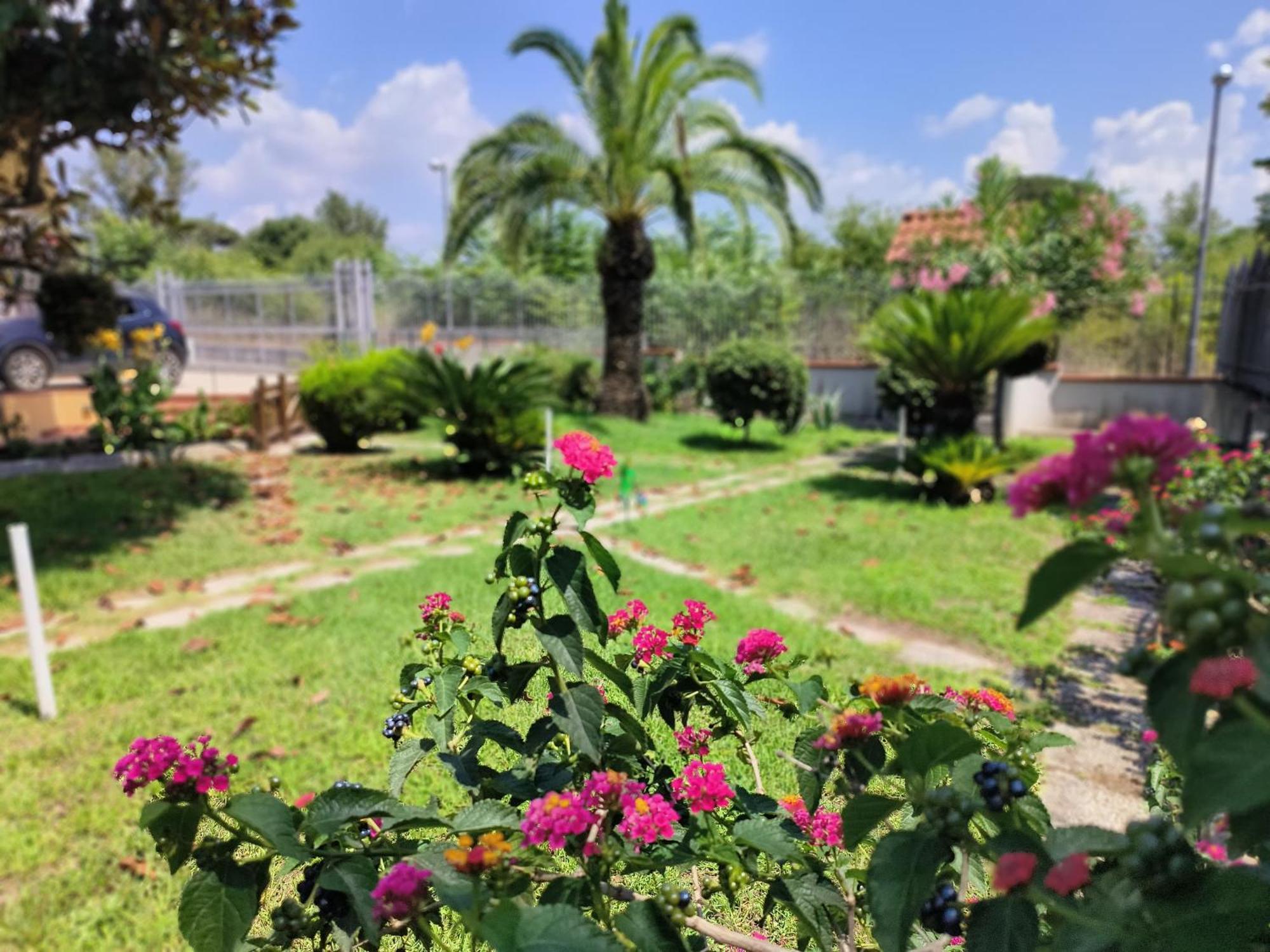 I Giardini Di Plinio - Elegante E Luminoso. Apartamento Boscoreale Exterior foto